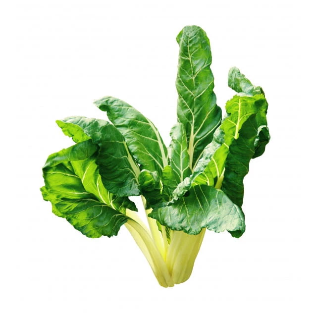 Blette 500gr