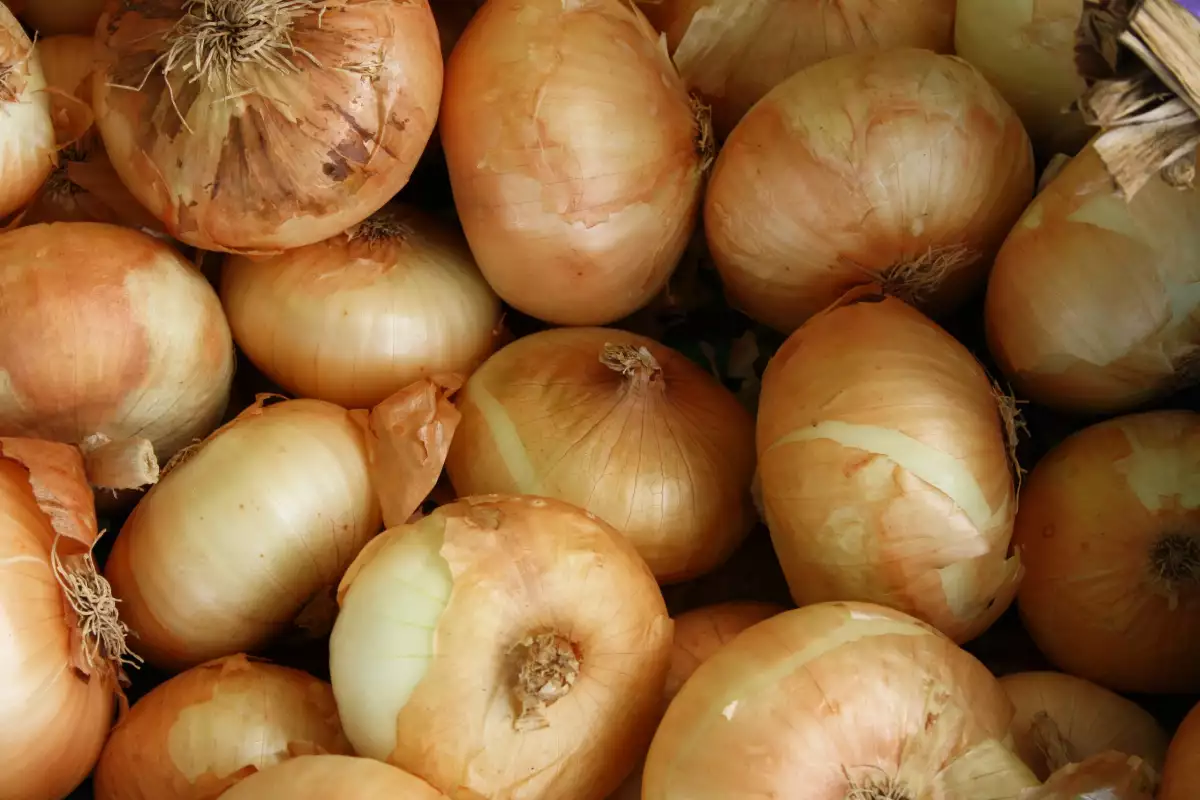 Oignons jaunes 500gr