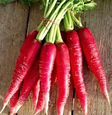Radis Rosa vrac 500gr