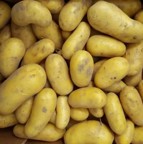 Pommes de terre ALLIANS 1kg