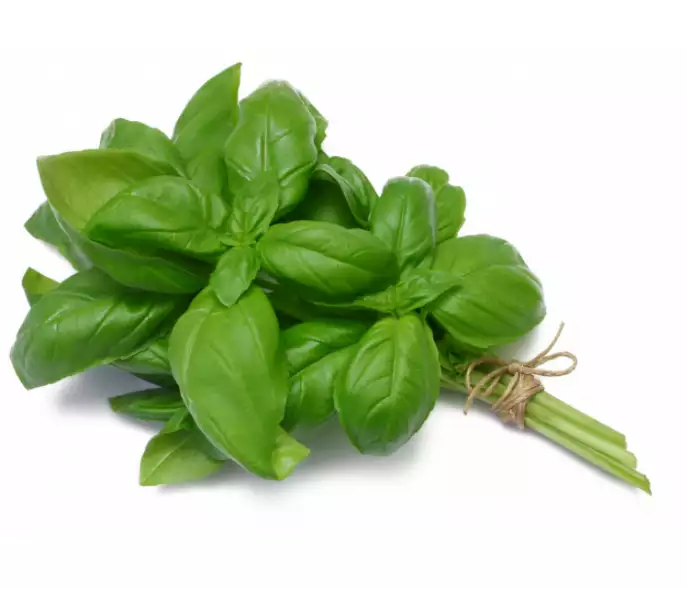Basilic bouquet