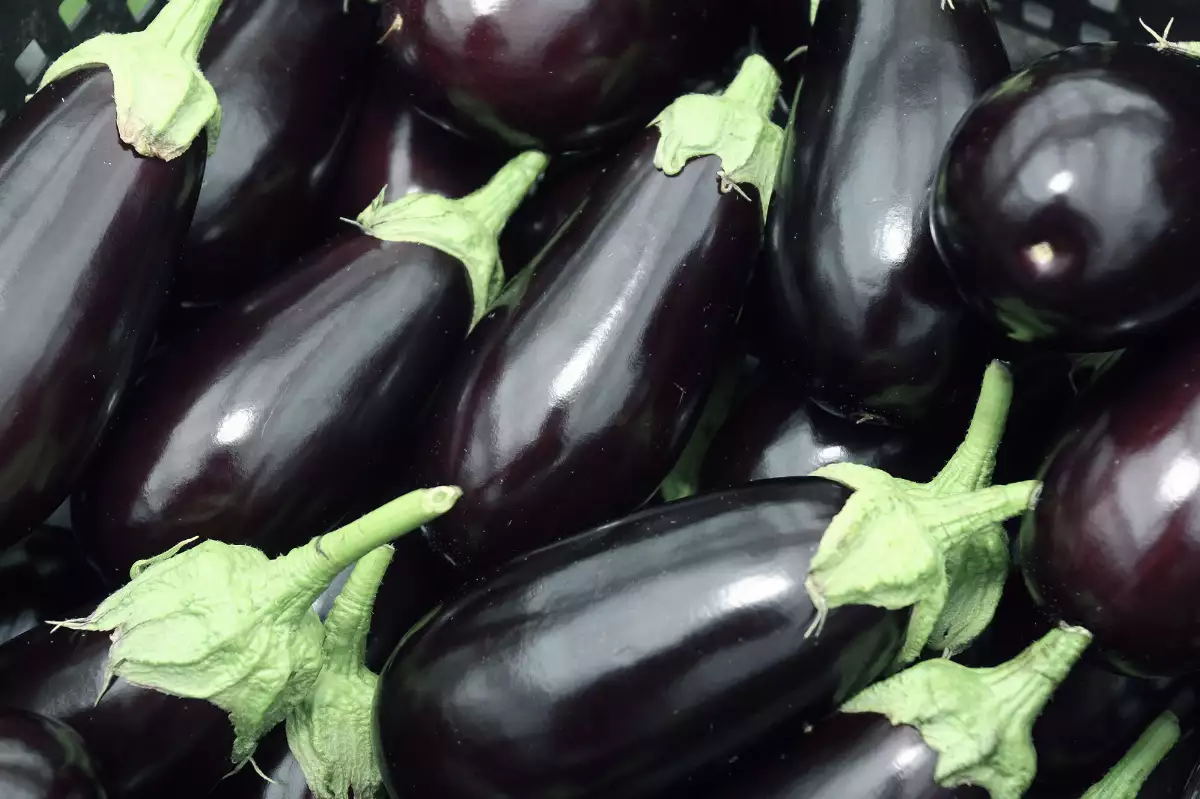 Aubergines 500gr