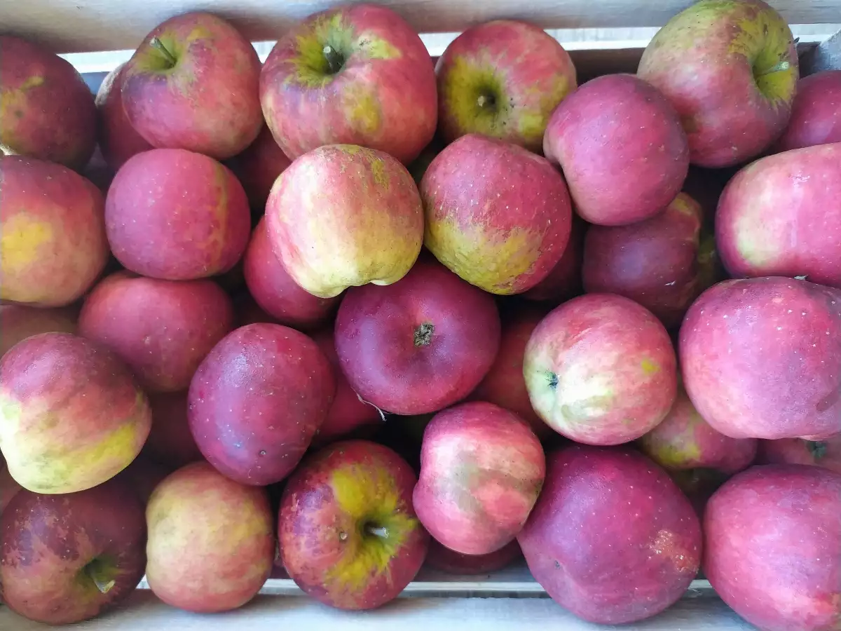 Pommes 1kg