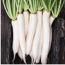 Radis daïkon 500gr