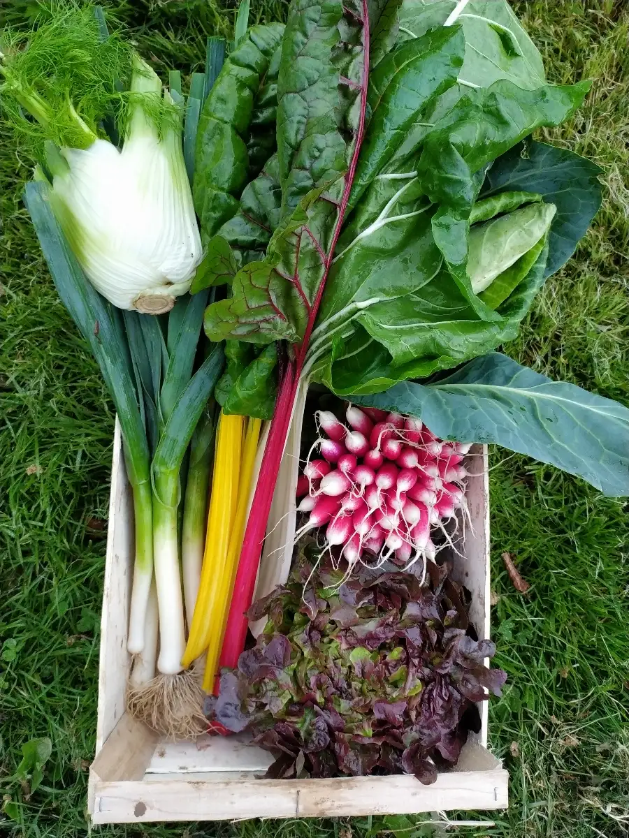Grand Panier de la semaine