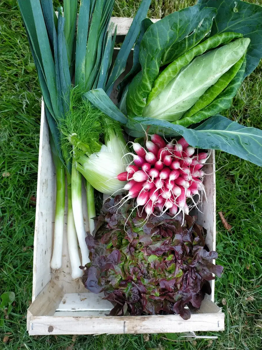 Petit Panier de la semaine