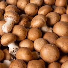 Champignons bruns de Paris 500gr