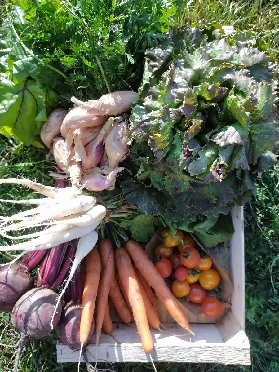 Grand Panier de la semaine