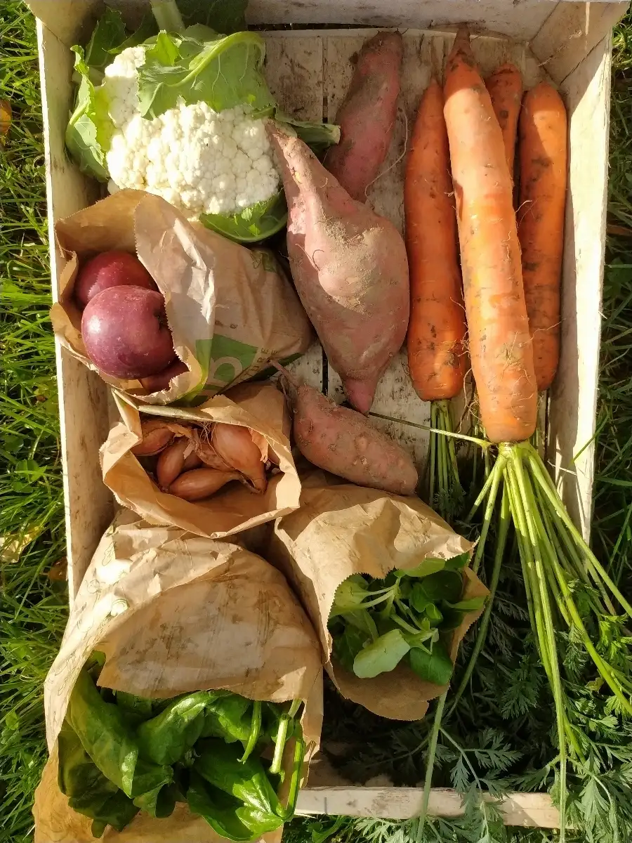 Super Grand Panier de la semaine