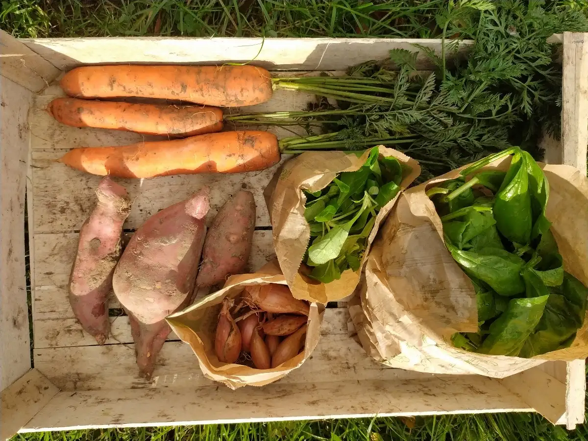 Grand Panier de la semaine