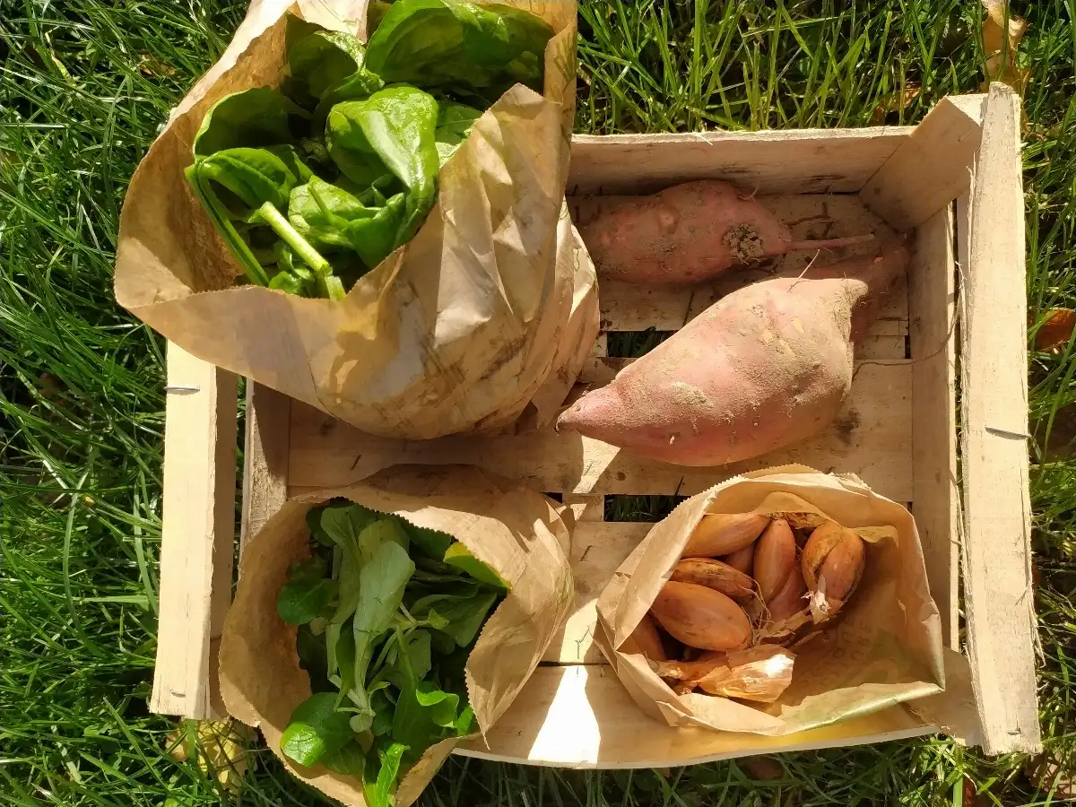 Petit Panier de la semaine