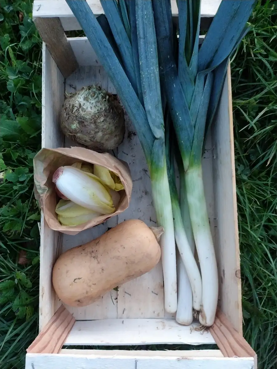 Petit Panier de la semaine