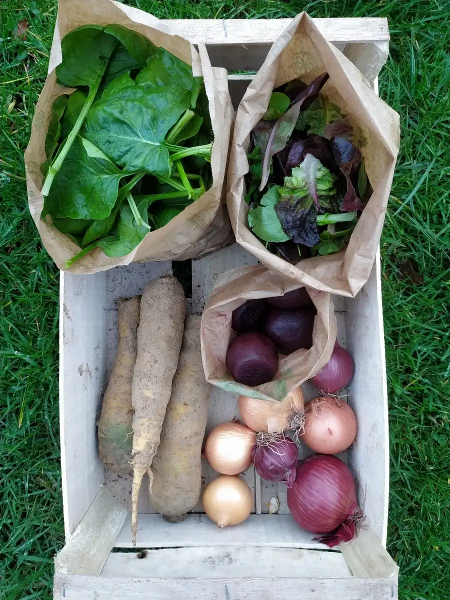Grand Panier de la semaine