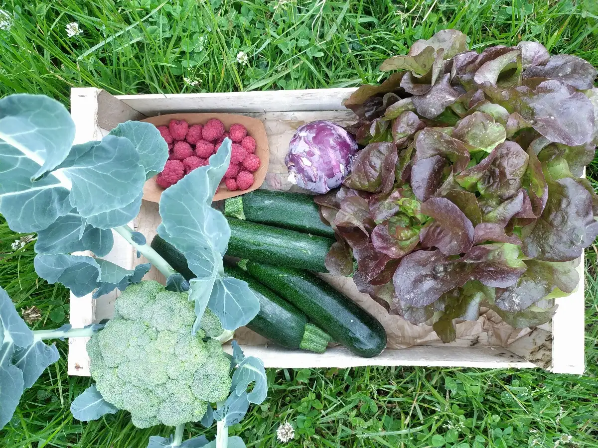 Grand Panier de la semaine