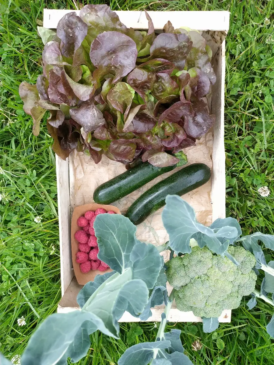 Petit Panier de la semaine