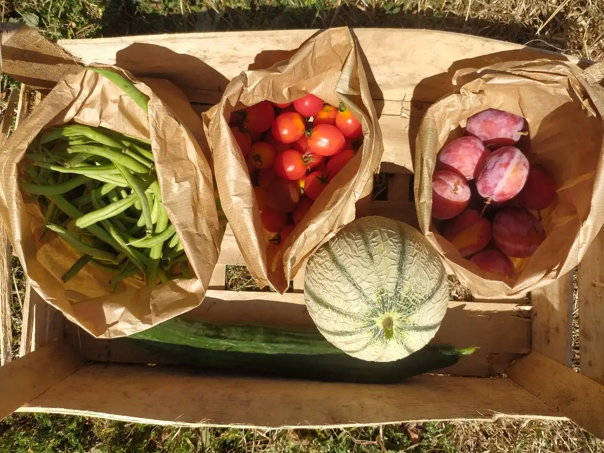 Grand Panier de la semaine