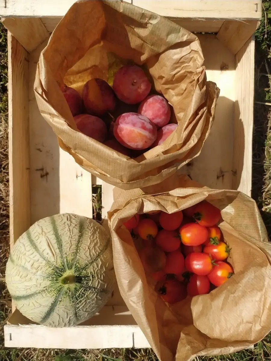 Petit Panier de la semaine