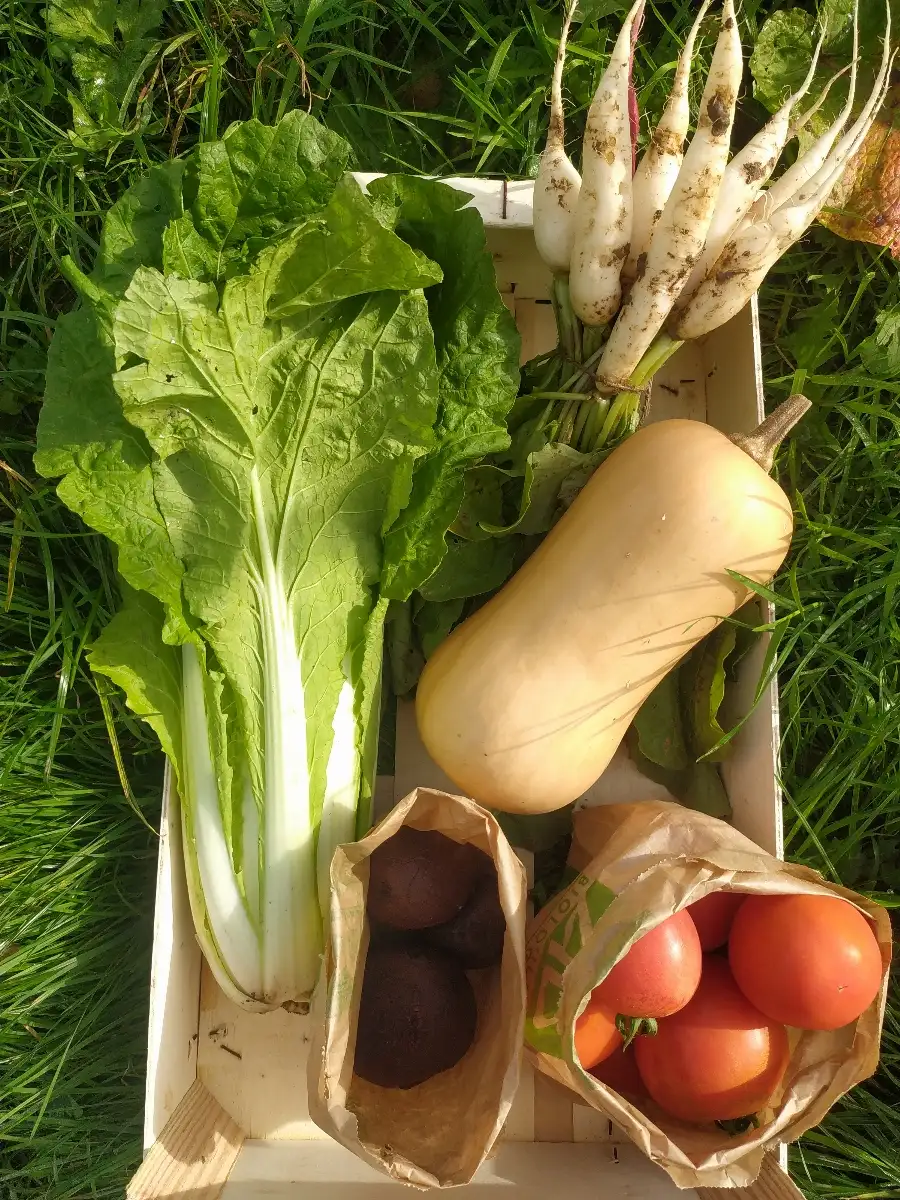 Grand Panier de la semaine