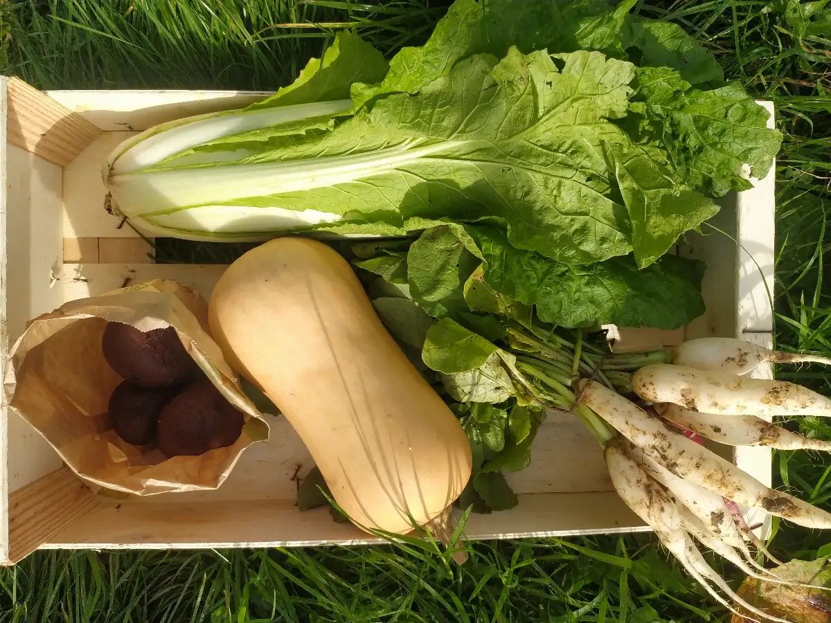 Petit Panier de la semaine